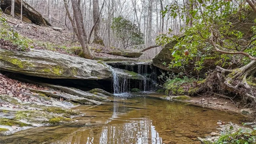 View of nature