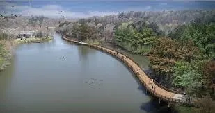 Boardwalk overlooks the Chattahoochee River