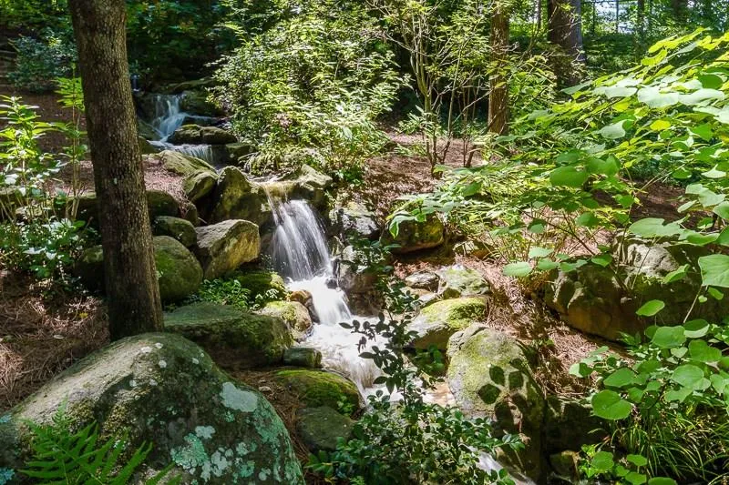 3033 E Pine Valley Road Nw, Atlanta, Georgia 30305, 4 Bedrooms Bedrooms, ,5 BathroomsBathrooms,Residential,Sold,3033 E Pine Valley Road Nw,5887353 3033 E Pine Valley Road Nw, Atlanta, Georgia 30305, 4 Bedrooms Bedrooms, ,5 BathroomsBathrooms,Residential,Sold,3033 E Pine Valley Road Nw,5887353