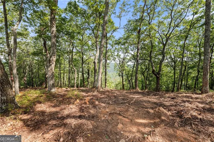 347 Highlands Drive, Clarkesville, Georgia 30523