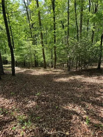 0 Mill Trace Court, Cleveland, Georgia 30528