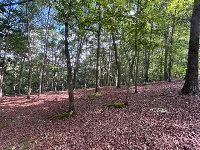Lot 5 Westwood Avenue, Blairsville, Georgia 30512