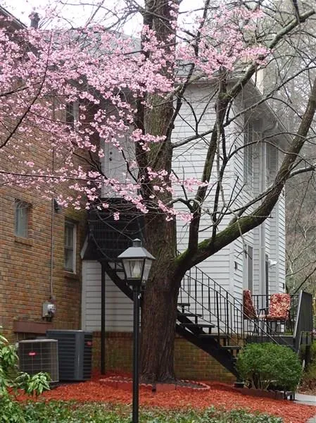 6700 Roswell Road Unit 3d, Sandy Springs, Georgia 30328, 3 Bedrooms Bedrooms, ,2 BathroomsBathrooms,Residential,Sold,6700 Roswell Road Unit 3d,5814542