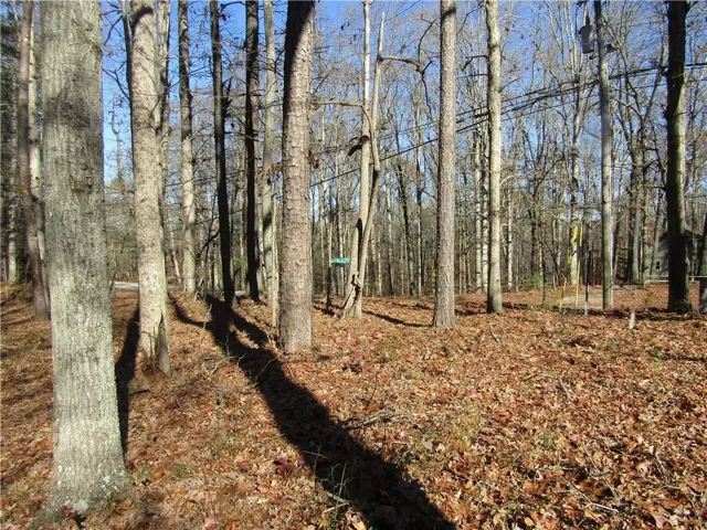 View of tree filled area