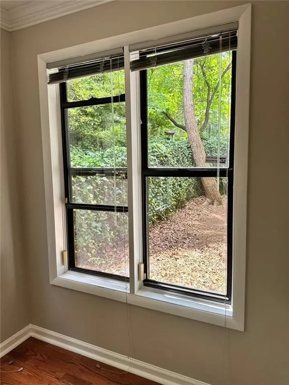 Light and view to wooded space