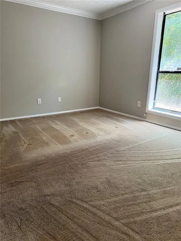 Primary with professionally cleaned carpet