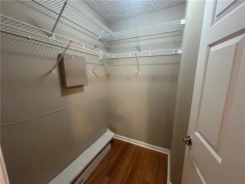 Spacious closet with a baseboard heating unit and dark hardwood / wood-style flooring