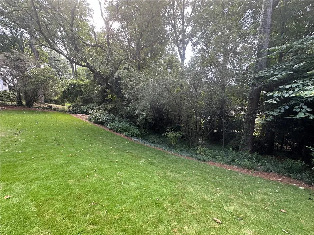 Backyard has room for further expansion.