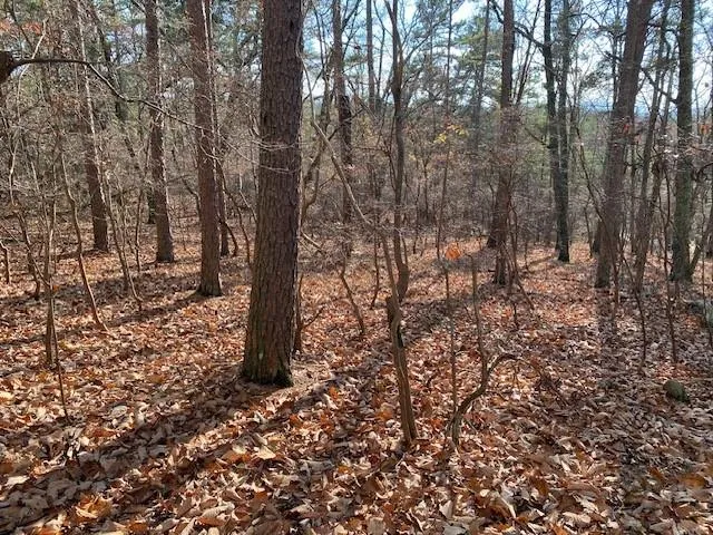 View of undeveloped land