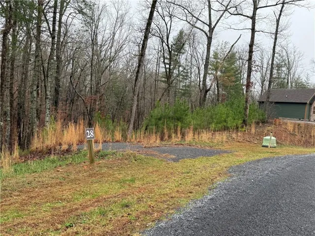 0 Lake Top Lane, Ellijay, Georgia 30536
