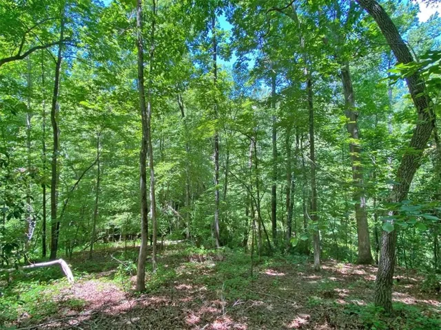 0 Hickory Nut Trail, Dahlonega, Georgia 30533