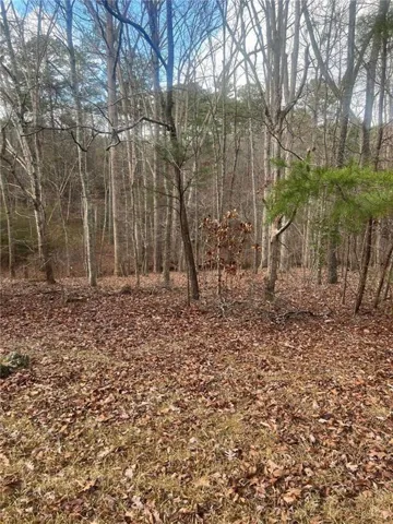 Wooded acreage featuring mature deciduous trees and evergreen foliage