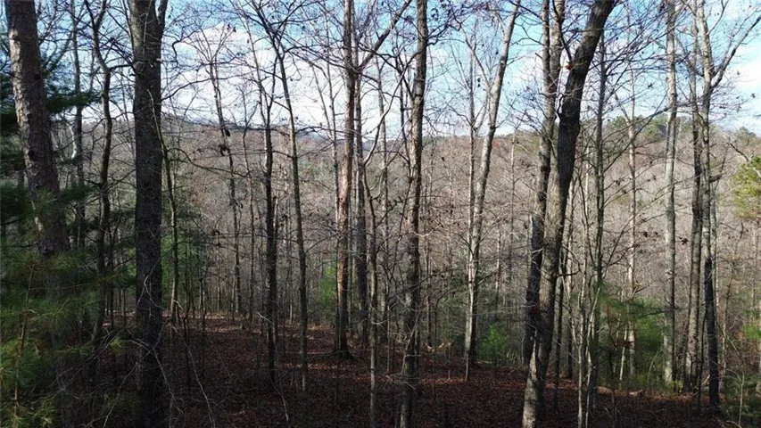 865 Bolster Lane, Ranger, Georgia 30734
