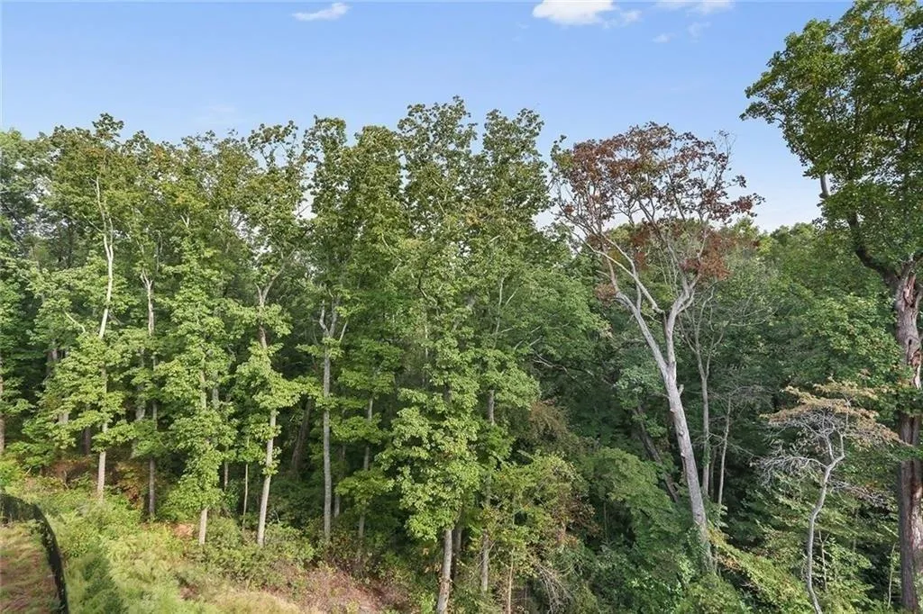 53 Winslow Street, Atlanta, Georgia 30328, 4 Bedrooms Bedrooms, ,4 BathroomsBathrooms,Residential,Sold,53 Winslow Street,6728152