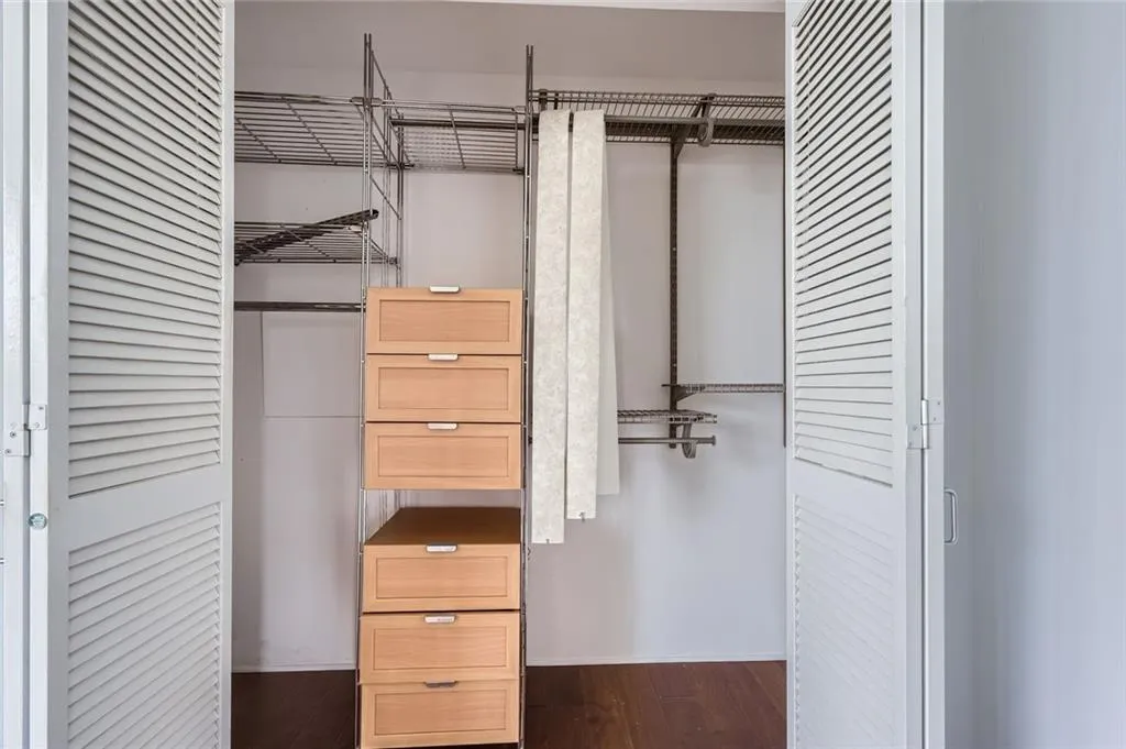 Spacious closet with dark wood-type flooring