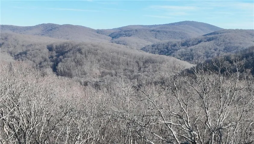 275 Andes Ridge, Ellijay, Georgia 30536