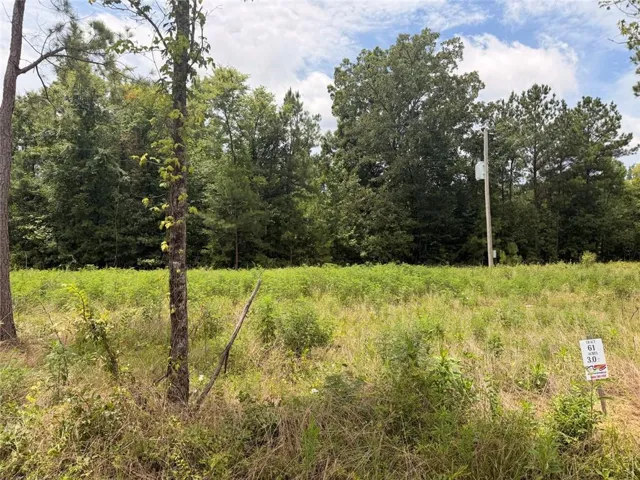 Lot 61 County Road 32, Piedmont, Alabama 36272