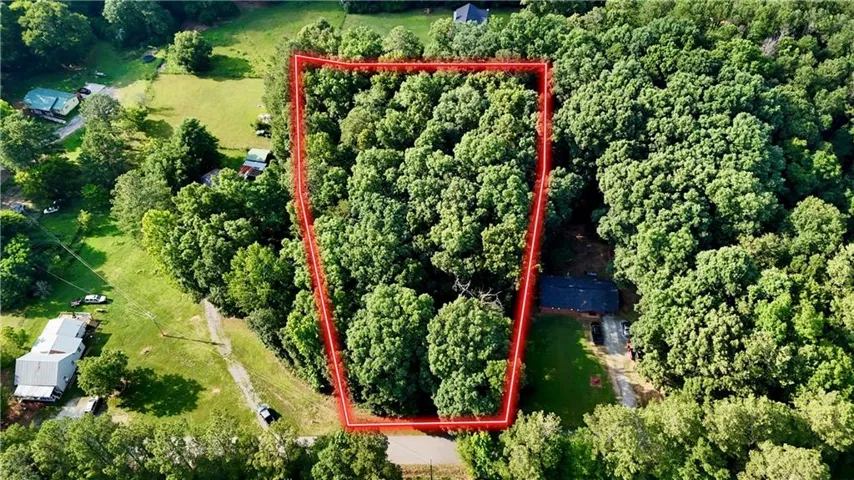 Expansive wooded acreage featuring mature trees and a clearly defined boundary