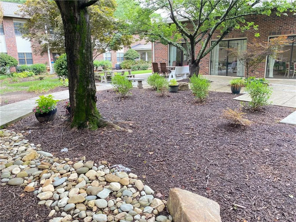 Outdoor garden and green area.