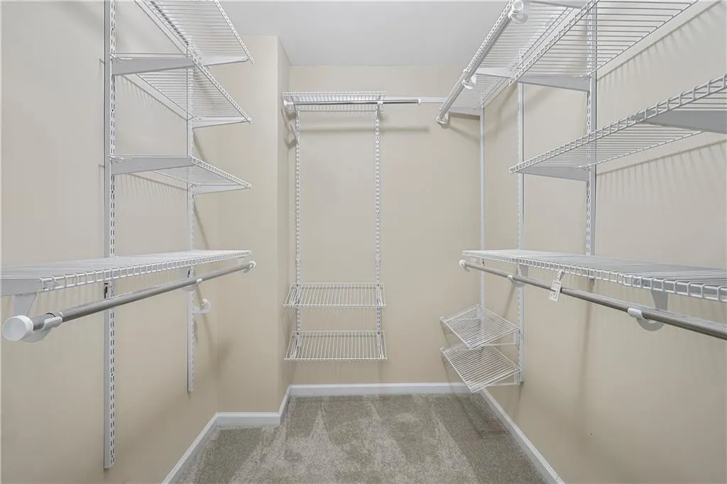 Spacious closet featuring carpet floors