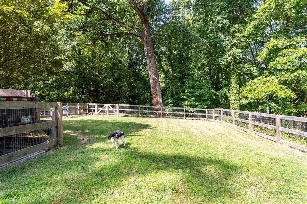 Another angle of the side-yard.