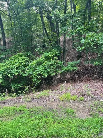 Wooded homesite