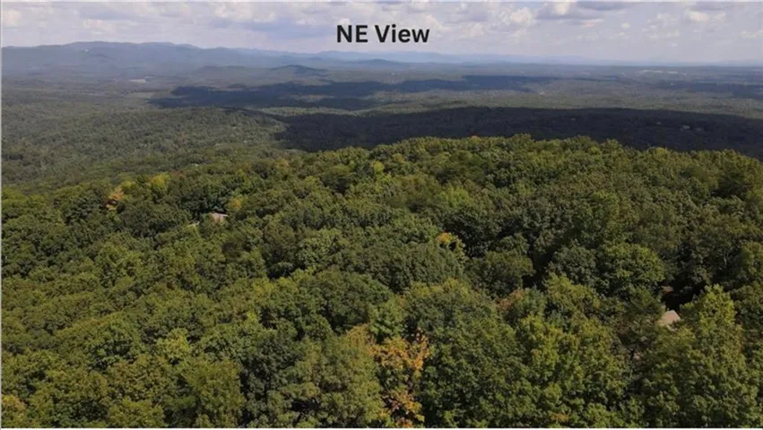 NE View