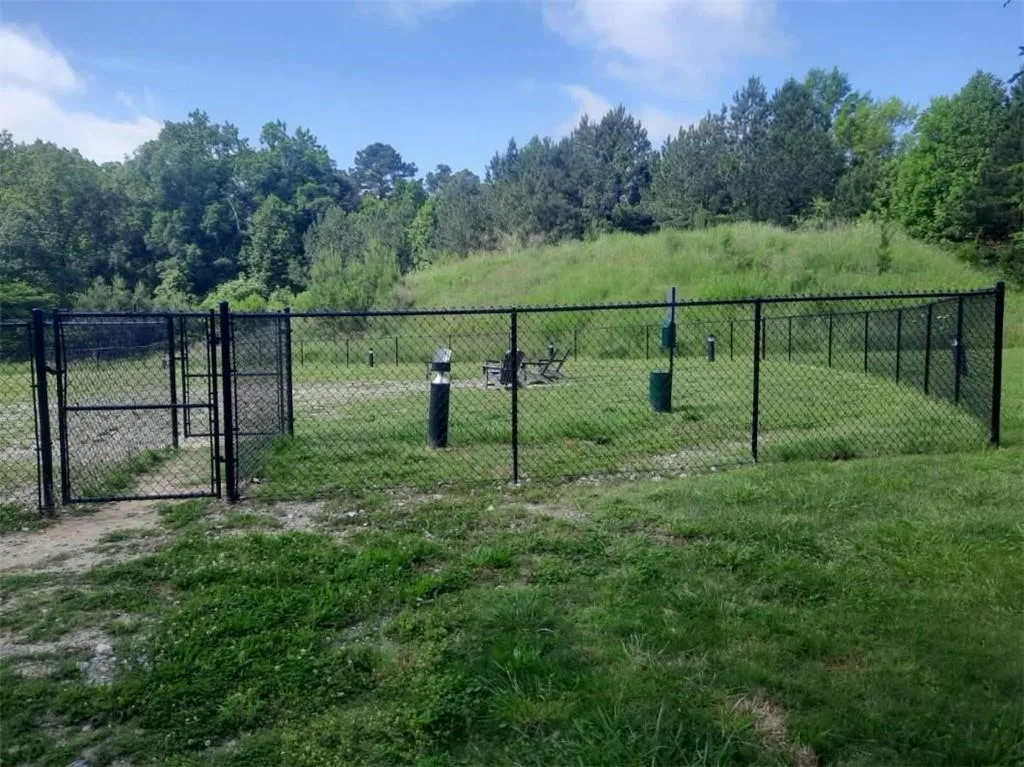 Dog Park