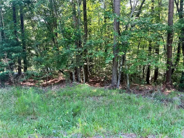 Expansive wooded lot featuring mature trees and a natural landscape