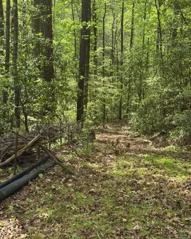 348 Hemlock Trail, Ellijay, Georgia 30540