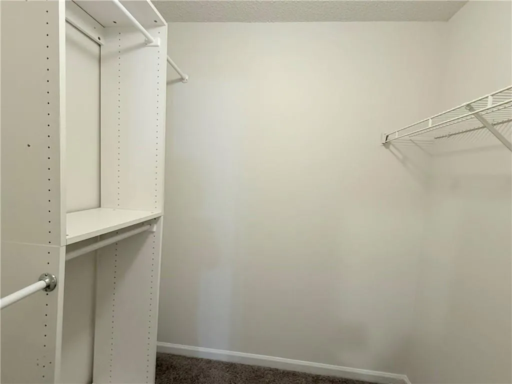 Spacious closet featuring carpet