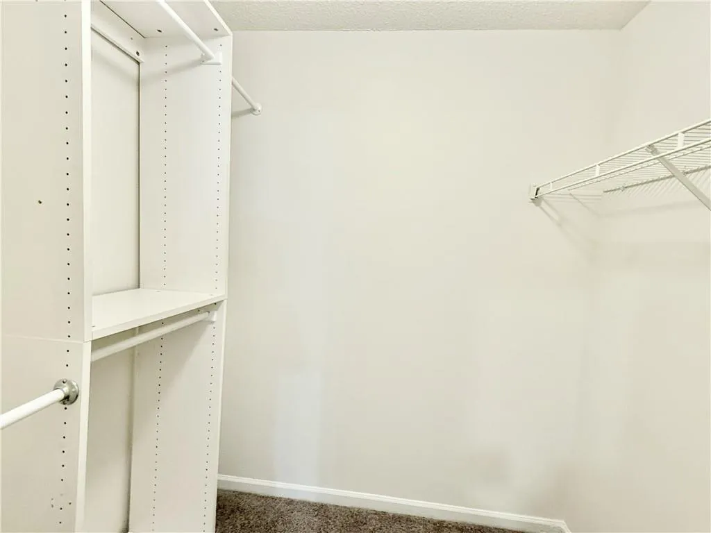 Walk in closet with carpet flooring