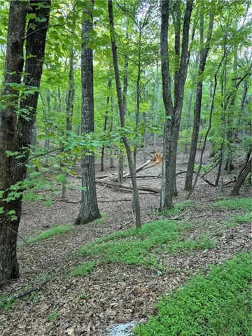 View of nature