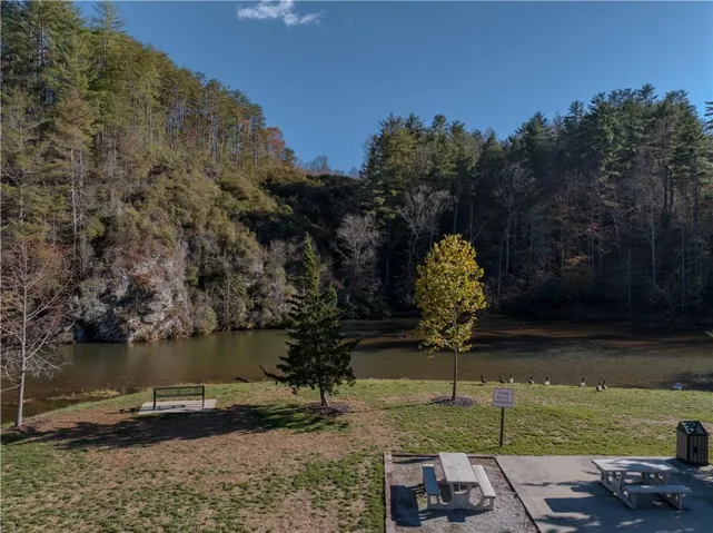 View of grassy yard with a forest view and a water view
