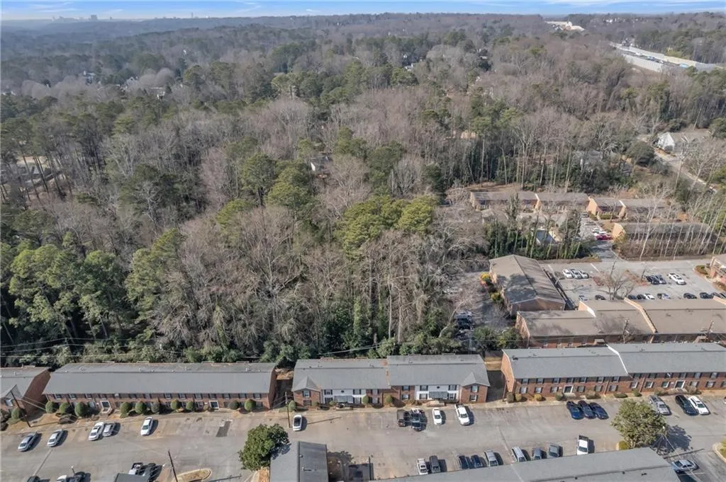 Aerial view of a forest