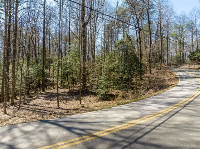0 Shenendoa Drive, Ellijay, Georgia 30540