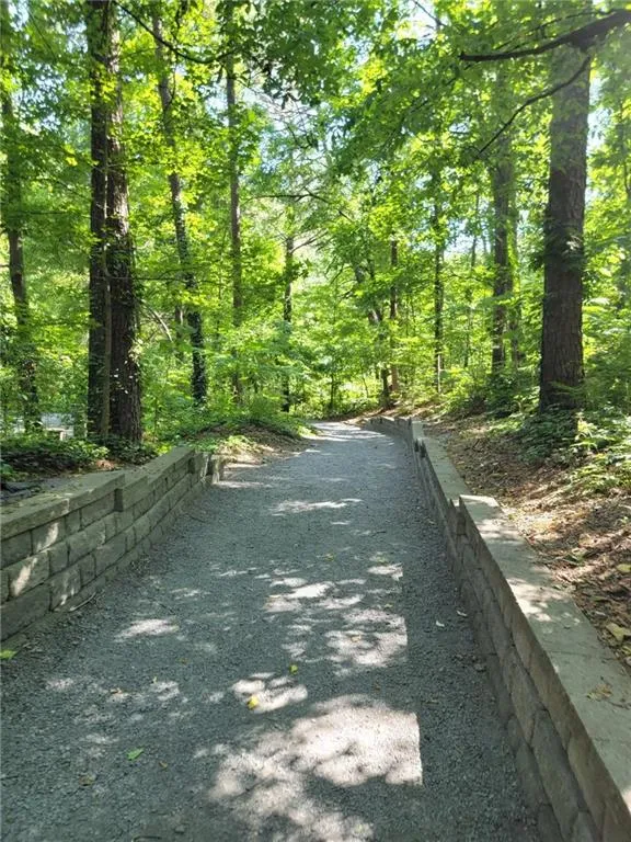 View of street with a forest view