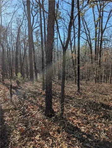 1422 Hanna Drive, Ranger, Georgia 30734