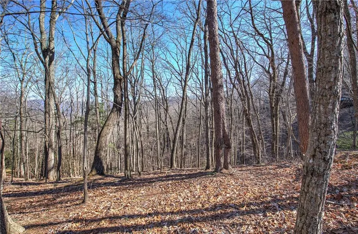View of wooded lot.
