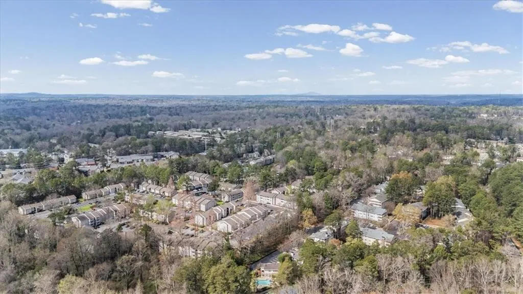 Aerial perspective of suburban area with a forest