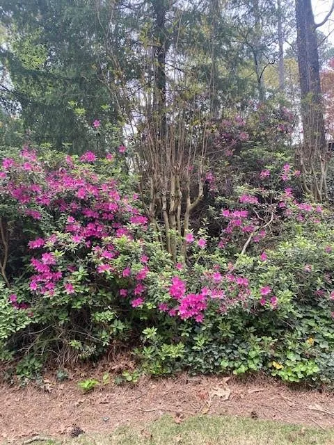 645 River Valley Road Nw, Atlanta, Georgia 30328, 4 Bedrooms Bedrooms, ,4 BathroomsBathrooms,Residential,Sold,645 River Valley Road Nw,6843268