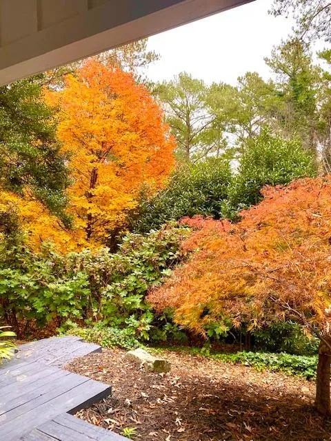 645 River Valley Road Nw, Atlanta, Georgia 30328, 4 Bedrooms Bedrooms, ,4 BathroomsBathrooms,Residential,Sold,645 River Valley Road Nw,6843268