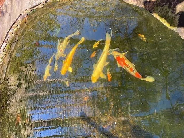 645 River Valley Road Nw, Atlanta, Georgia 30328, 4 Bedrooms Bedrooms, ,4 BathroomsBathrooms,Residential,Sold,645 River Valley Road Nw,6843268