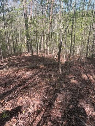 0 Heatherwood Way, Talking Rock, Georgia 30175
