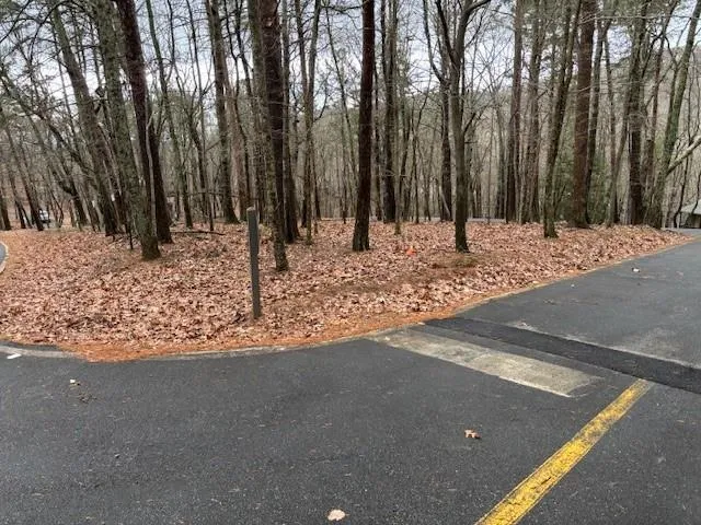 View of road