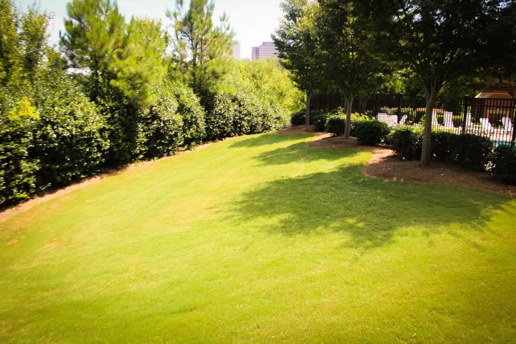 6469 Chariot Street Unit 30, Sandy Springs, Georgia 30328, 3 Bedrooms Bedrooms, ,2 BathroomsBathrooms,Residential,Sold,6469 Chariot Street Unit 30,5723410