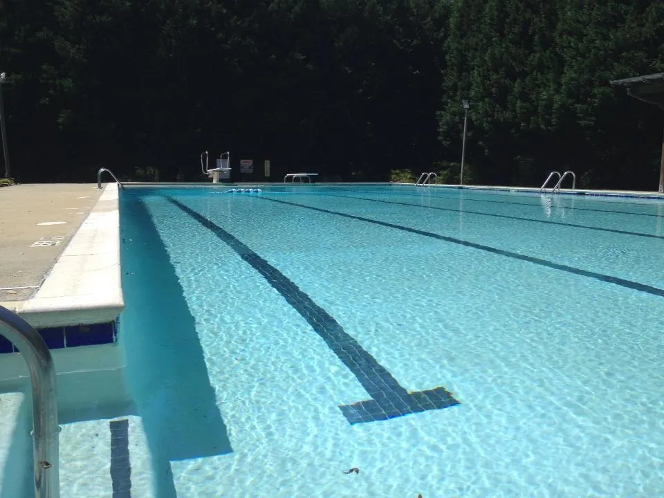 7135 Dunhill Terrace, Sandy Springs, Georgia 30328, 5 Bedrooms Bedrooms, ,3 BathroomsBathrooms,Residential,Sold,7135 Dunhill Terrace,5854670