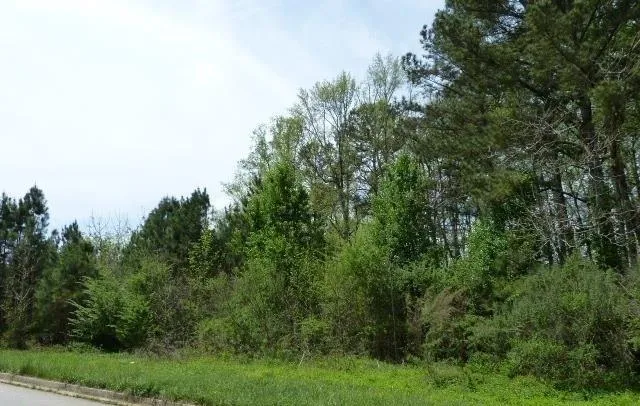204 Benefield Court, Stockbridge, Georgia 30281