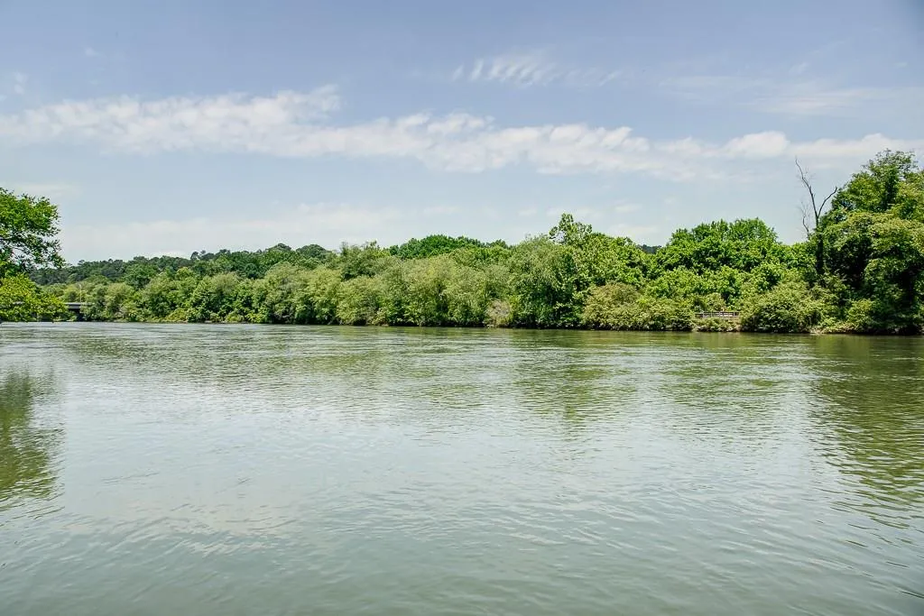 9673 Roberts Drive, Sandy Springs, Georgia 30350, 4 Bedrooms Bedrooms, ,3 BathroomsBathrooms,Residential,Sold,9673 Roberts Drive,5694472