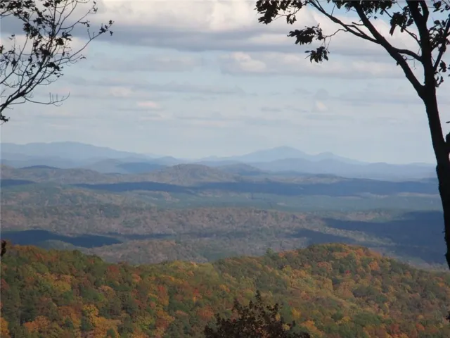 Mountain view featuring a heavily wooded area